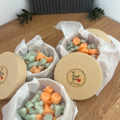 Coleção de Verão - Wax Melts