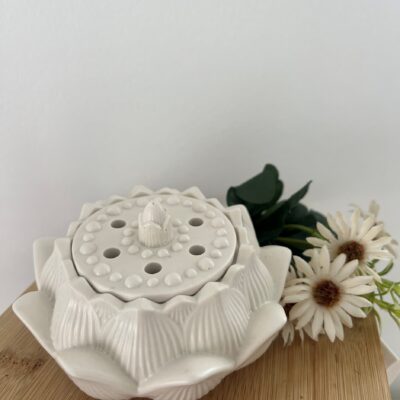 Lotus Bloom